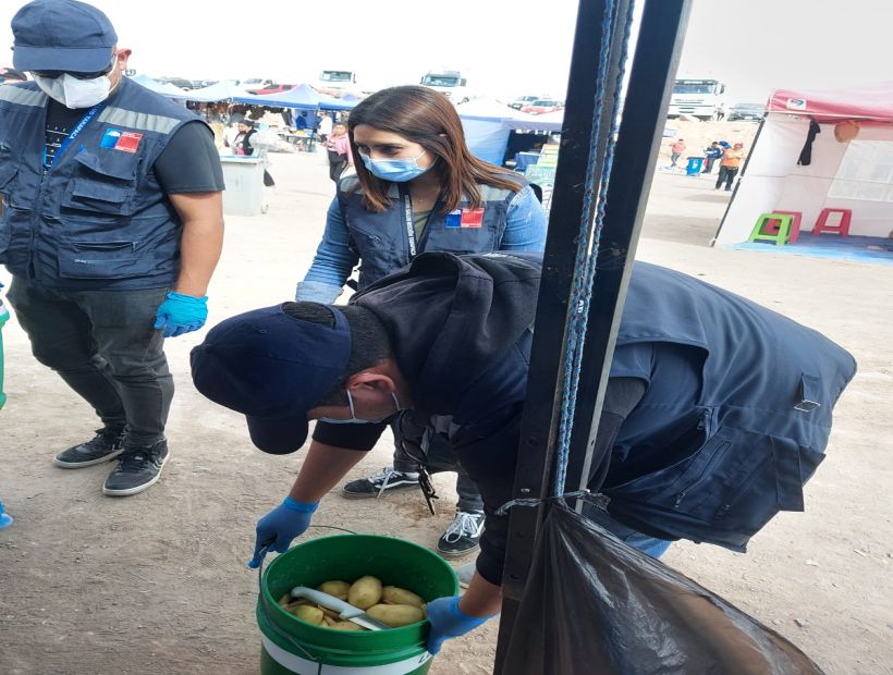 Con nueve citaciones al Juzgado de Policía Local finalizó fiscalización a La Quebradilla en Alto Hospicio