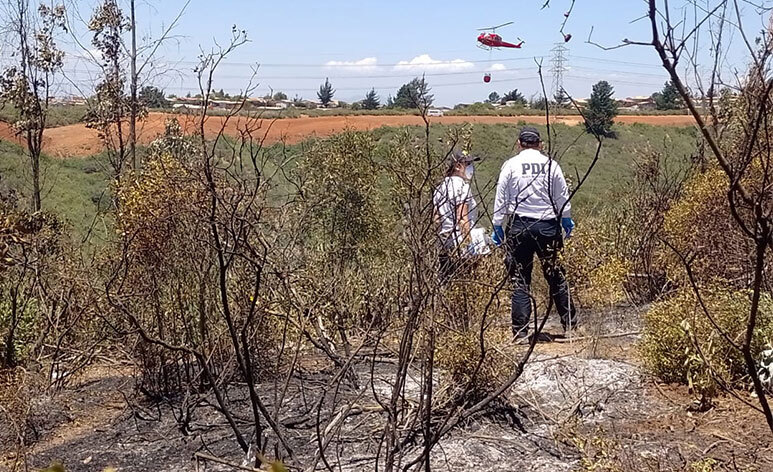 Fiscalía no descarta intencionalidad en incendio de Viña del Mar