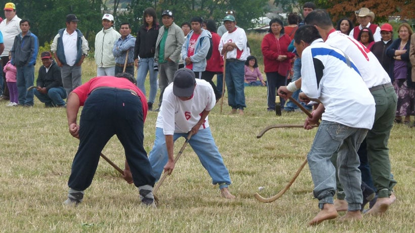 53° versión del Festival Regional de Folclor Campesino se realizará en Osorno