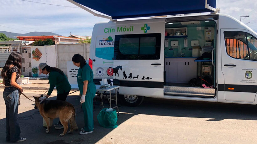 Clínica veterinaria móvil atenderá en La Cruz de forma gratuita este verano