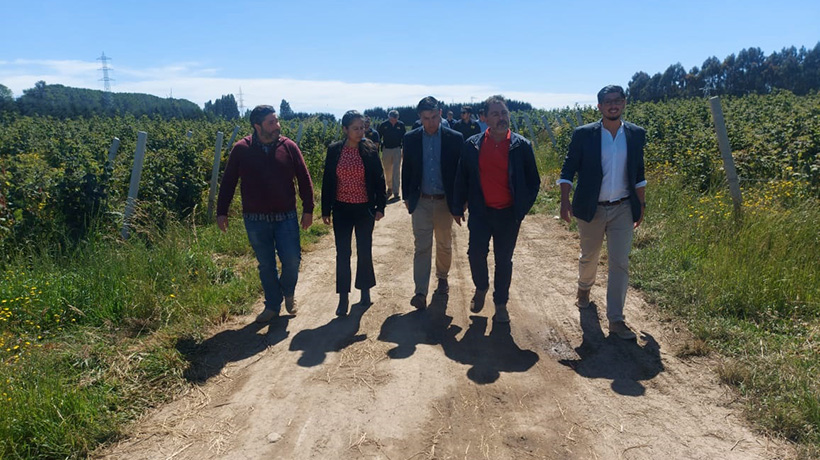 Fiscalizan empresa agrícola en Osorno para verificar condiciones laborales