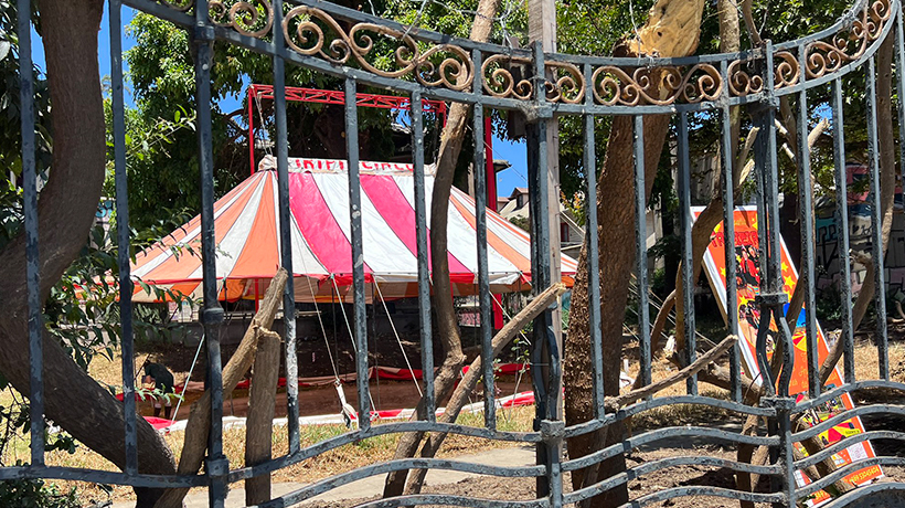 Carpa de circo se instaló sin autorización en Casa Italia de Viña del Mar Carpa de circo se instaló sin autorización en Casa Italia de Viña del Mar