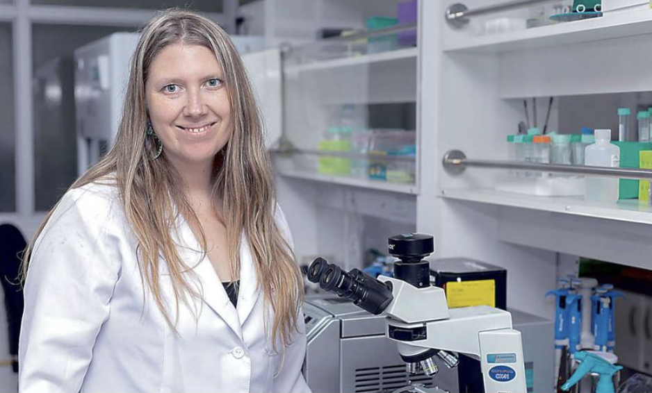 Prometedora crema creada en Temuco para tratar el cáncer de piel despierta el interés de clínicas y farmacéuticas