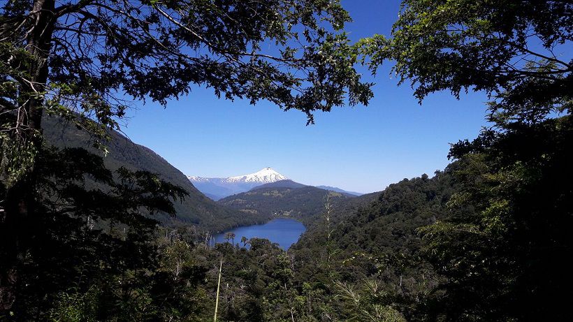 La Araucanía: Conaf cierra todos los parques y reservas La Araucanía: Conaf cierra todos los parques y reservas
