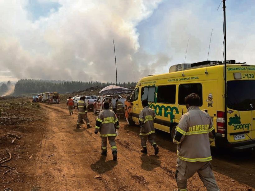 "Panguipulli ayuda a Purén": campaña para ir en ayuda de damnificados por los incendios forestales en la zona