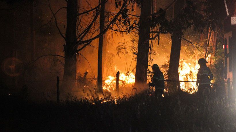 Seis escuelas y un jardín infantil es el saldo de establecimientos siniestrados por incendios forestales en la Región