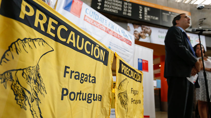 Por presencia de Fragata Portuguesa: Seremi cierra playas de Viña del Mar y provincia de Petorca