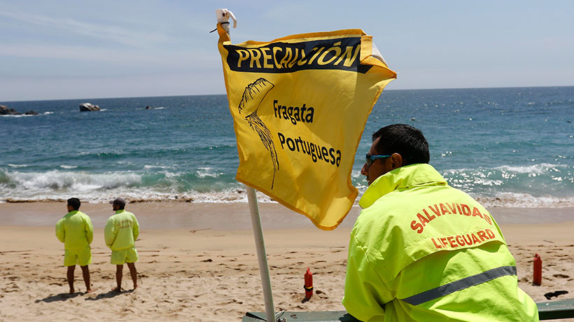 Viña del Mar: Levantan prohibición de baño en Playa Acapulco por Fragata Portuguesa