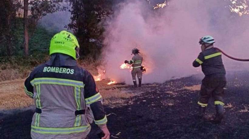 Nueve Incendios Forestales Se Mantienen En Combate En La Araucanía 4440