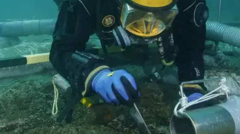 Descubren primer yacimiento paleontológico sumergido en Quintero con restos de especies extintas