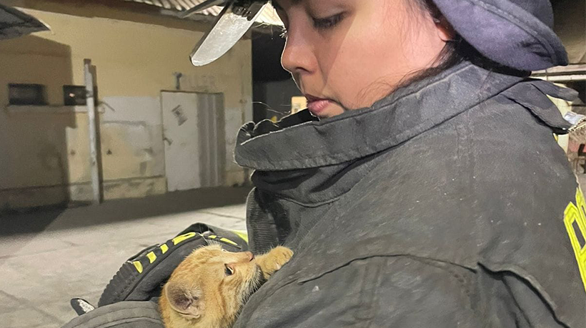 Al menos una vez por semana Bomberos de La Calera acude a rescatar animales