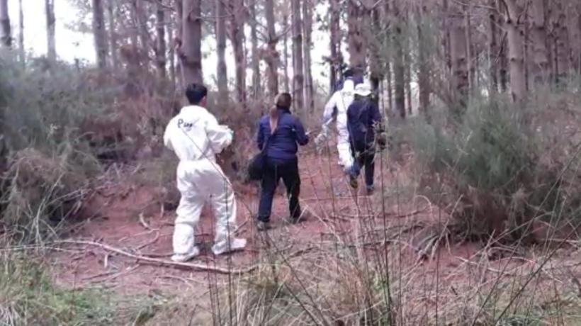 Investigan hallazgos de dos cadáveres al interior de un bosque en Los Álamos Investigan hallazgos de dos cadáveres al interior de un bosque en Los Álamos