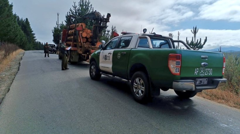 Curanilahue: Carabineros sorprende a conductor de camión con madera sin documentación y sin placas patentes