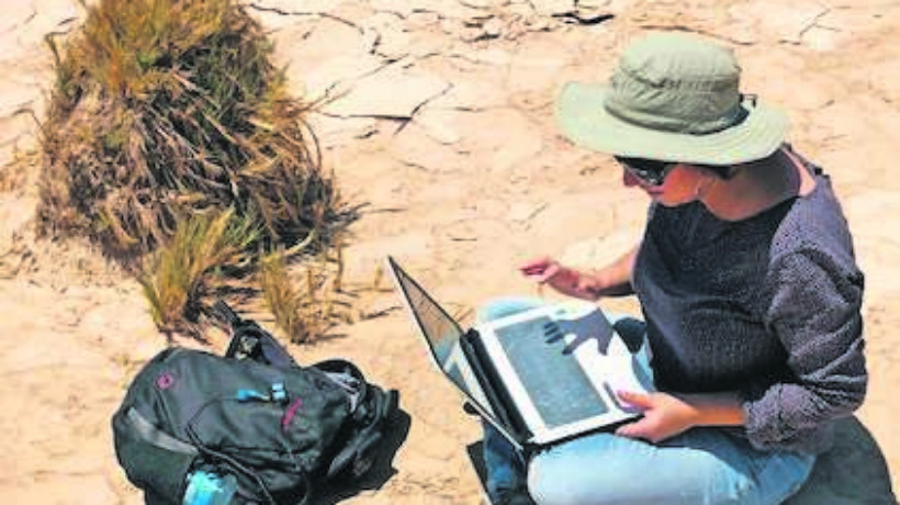 Los efectos del cambio: Académica de Antofagasta explica cómo han influido las altas temperaturas en la flora y fauna local