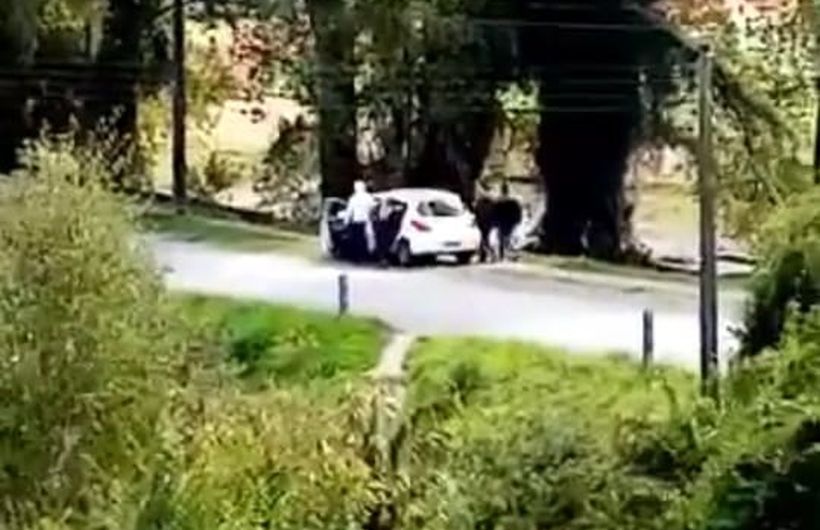 Estudiantes viralizan video de supuestos disparos en cercanía de establecimientos educacionales en Los Lagos