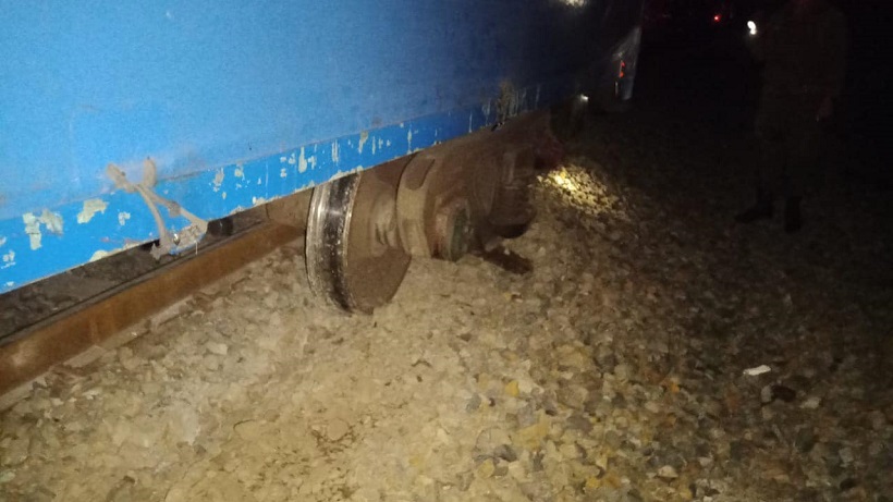 Tren de carga descarriló a la altura de Hualqui tras impactar con animales que estaban en la línea férrea