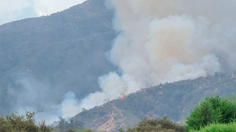 Extinguido se encuentra el incendio forestal en Casablanca: son 40 las hectáreas afectadas
