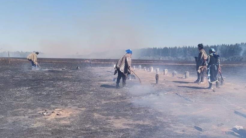 Comunidad mapuche de Collipulli acusa a empresario forestal de quemar sus predios