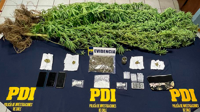 Incautan droga que estaba siendo ingresada a Isla de Pascua mediante empresa de carga