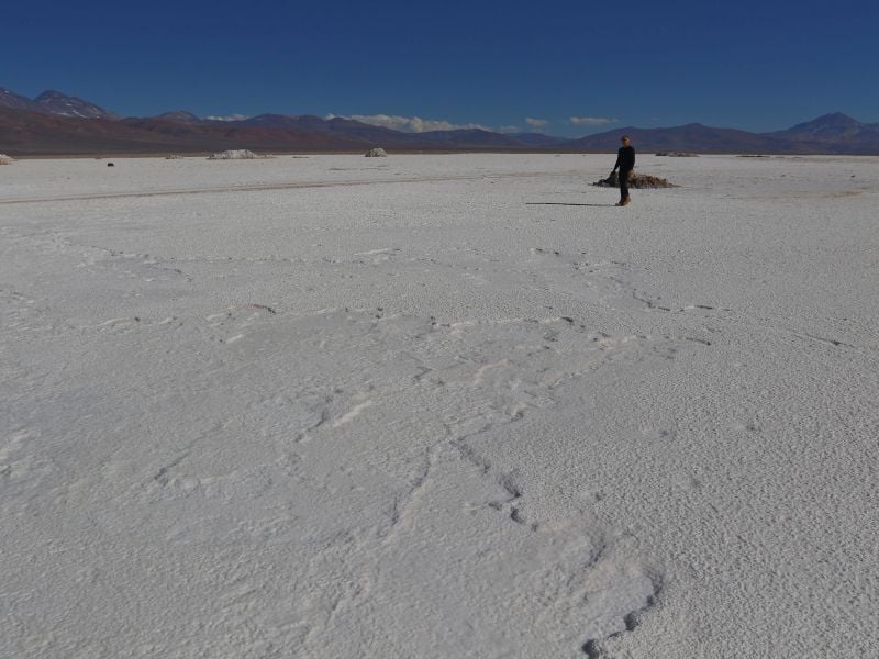 Elon Musk y Política Nacional del Litio: el mineral es "muy común" (...) lo que importa es la capacidad de refinación"