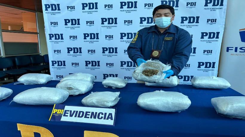 Sujeto intentó enviar droga por Chilexpress de Puerto Montt: se incautó más de 14 kilos de marihuana