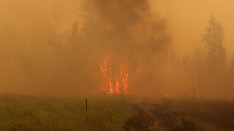 Se Mantiene La Alerta Roja Para Quilpu Por Incendio Forestal