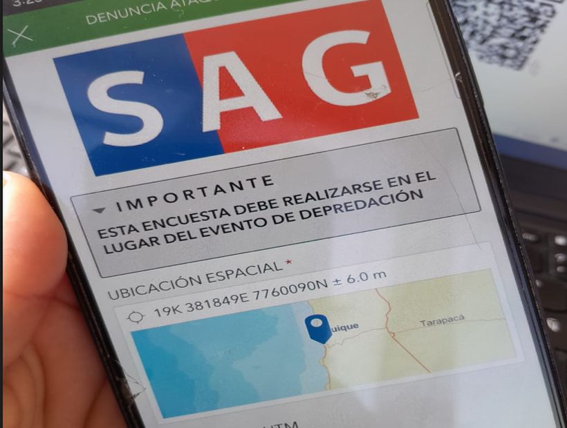 SAG Tarapacá lanza nueva aplicación móvil para agilizar denuncias de ataques de carnívoros silvestres