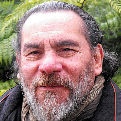 Arturo Fernando Bravo De Petris