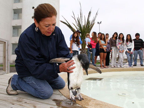tiempo en san pedro de la paz