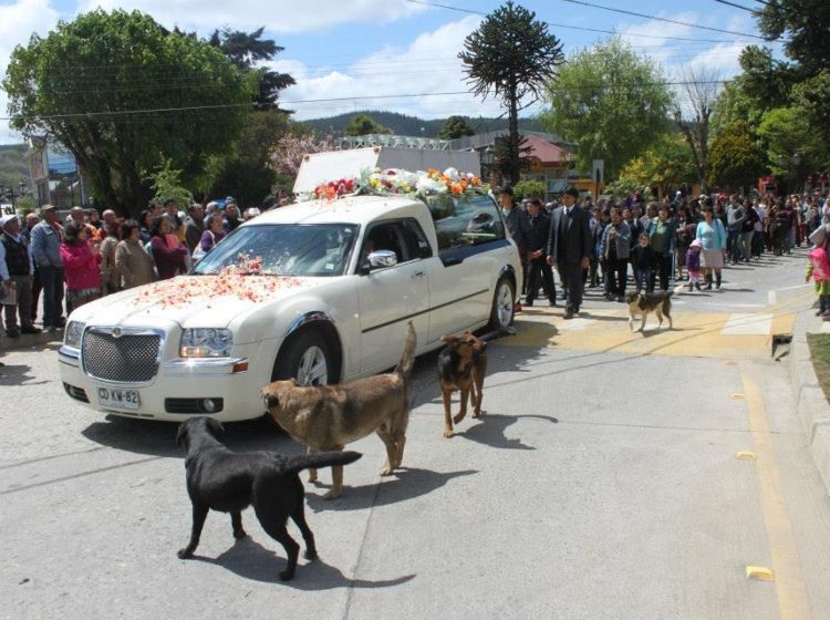 el tiempo en curanilahue