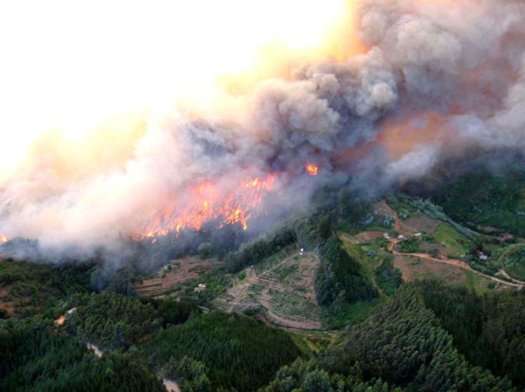 Resultado de imagen para incendios region del bio bio
