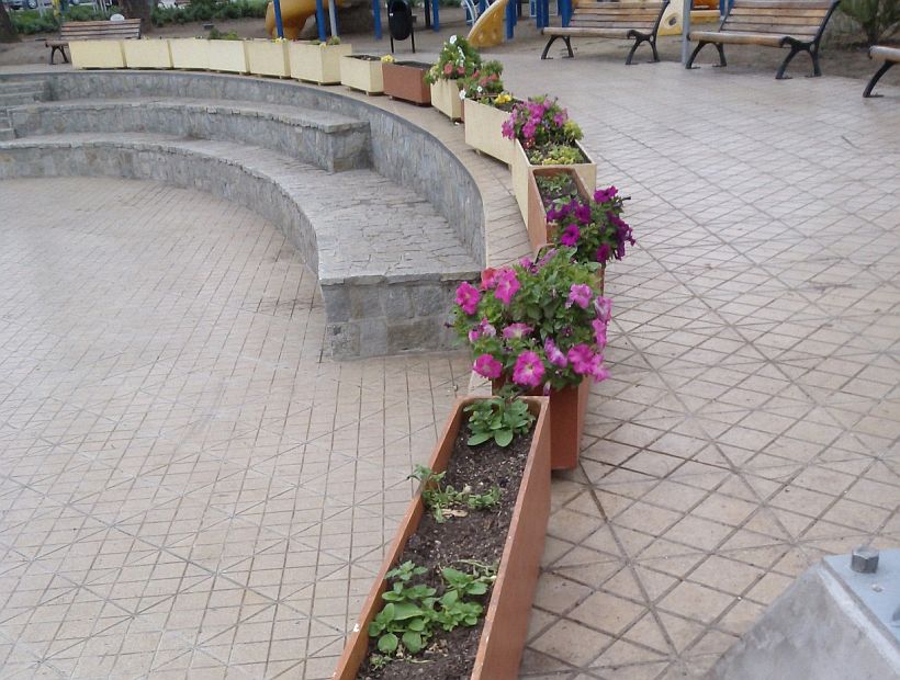 ¡Tiritan las petunias de la plaza de Llolleo! Se las están robando por