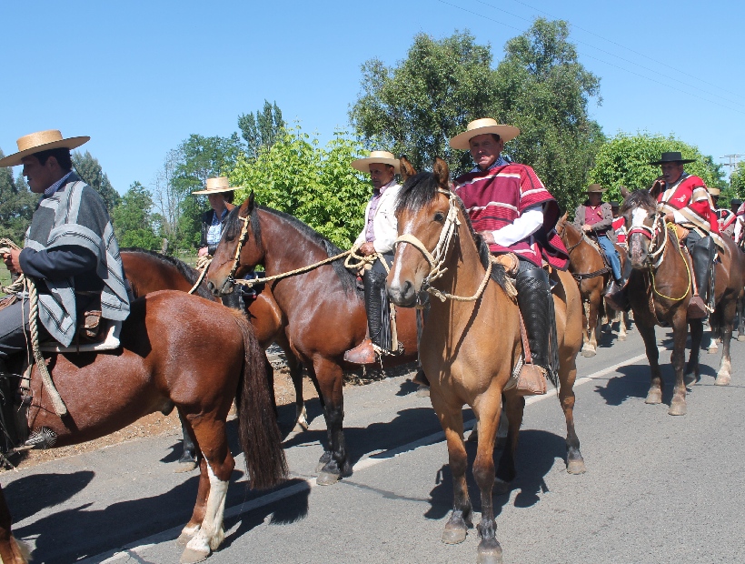 Cabalgata de la Amistad en Coihueco se realizará este ...