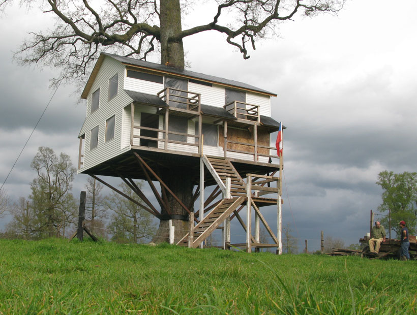 Una familia osornina construyó su casa en un árbol y a más de cinco metros  de altura