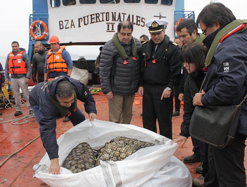 Fiscalizan retiro de cargamento de mariscos contaminados desde isla Apiao