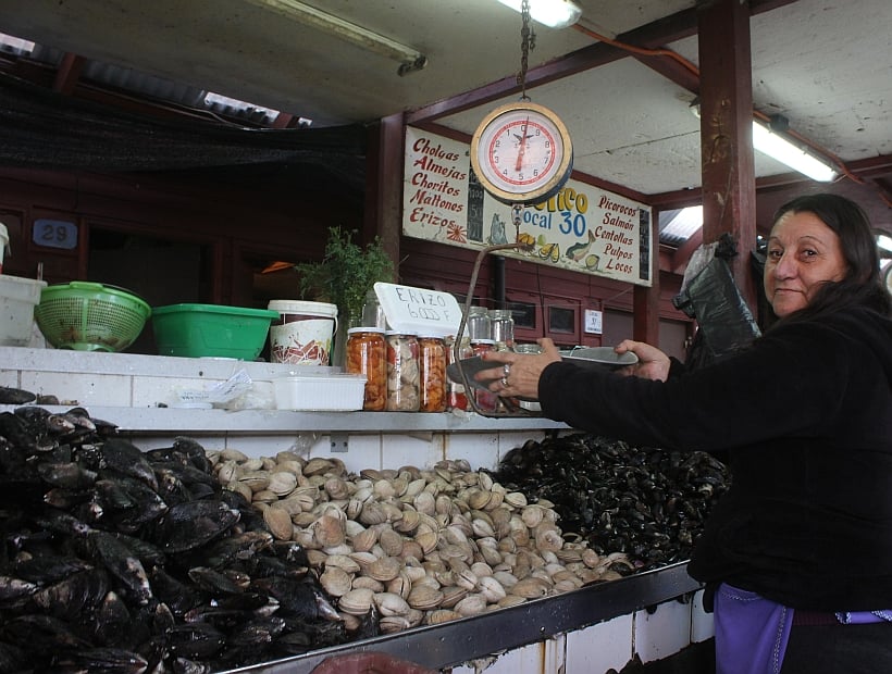 Marea roja: piden no comer productos del mar en Los Lagos por altas  concentraciones de veneno paralizante