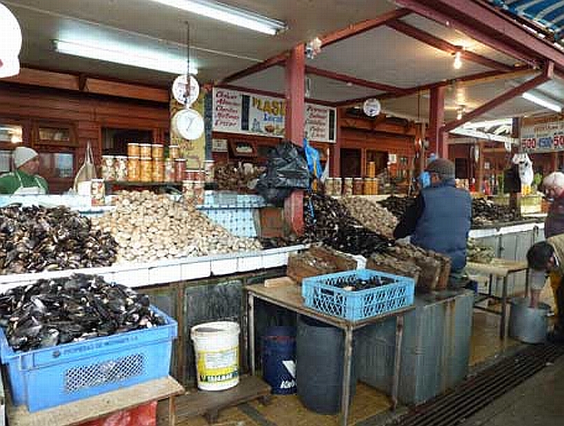 Marea roja: piden no comer productos del mar en Los Lagos por altas  concentraciones de veneno paralizante