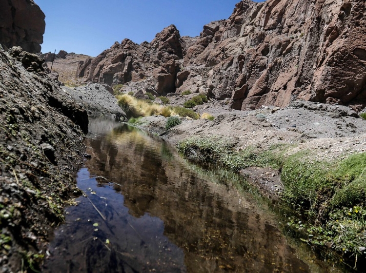 [VIDEO] Calameños piden que aguas del río Silala no sea solo de uso de