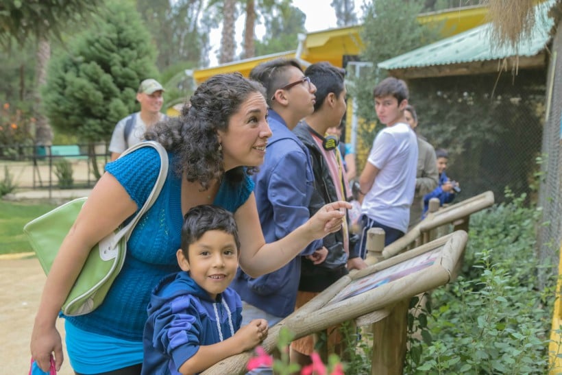 Zoologico De Quilpue Tendra Oferton De Lunes A Viernes Acceso Costara Solo 1000 Soychile Cl