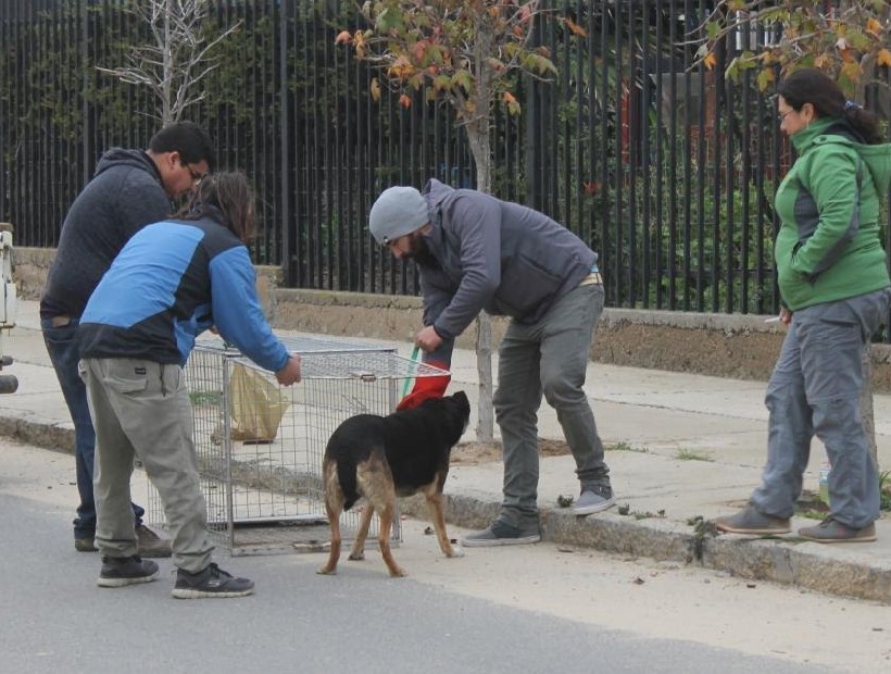 mujer busca hombre el quisco