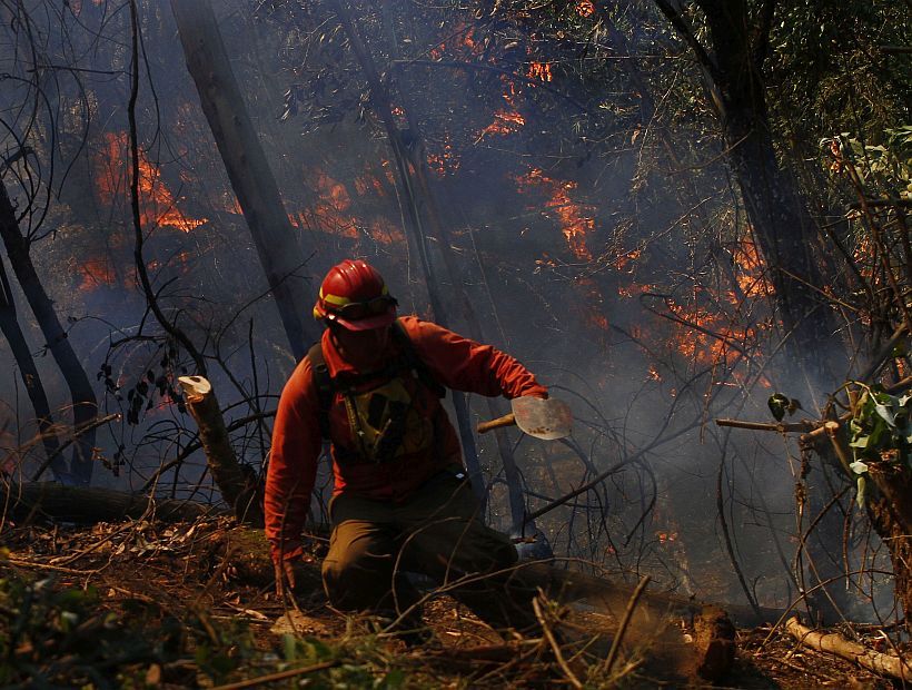 Incendio forestal en Puente Alto ha consumido ocho hectáreas de vegetación