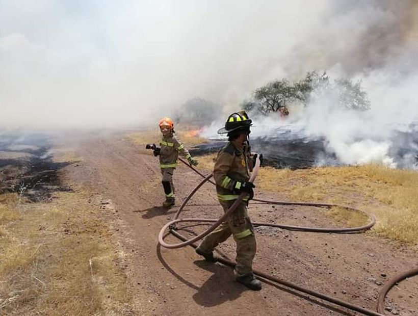 Declaran Alerta Roja para la comuna de Lampa por incendio forestal