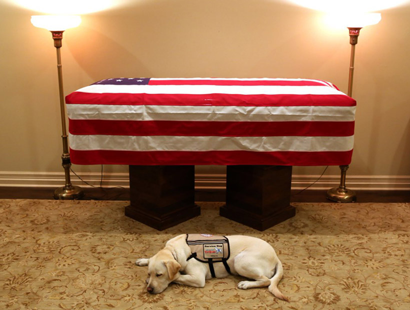 La conmovedora foto del perro que acompañó a George Bush hasta el final