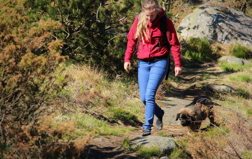 Dos turistas escandinavas fueron encontradas degolladas en ...