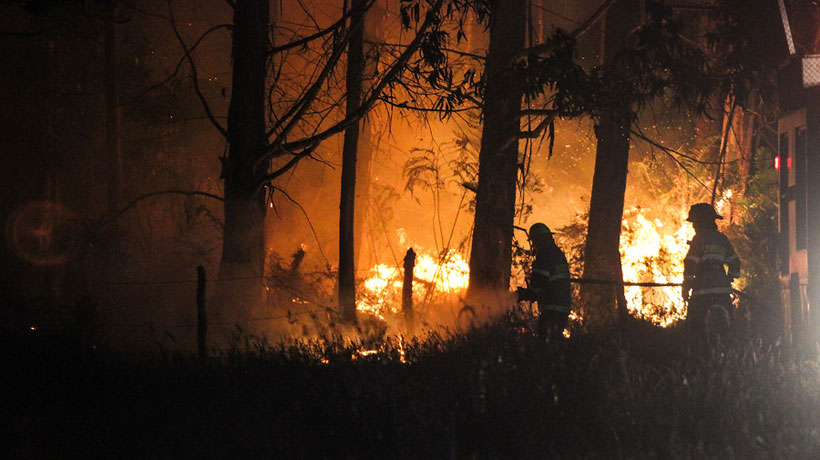 Onemi: 45 incendios forestales se encuentran activos a nivel nacional