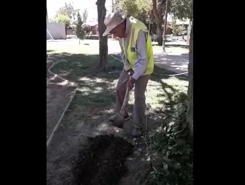 Hombre de 100 años que trabaja arreglando parques en comuna de Padre Hurtado recibe $122 mil de pensión