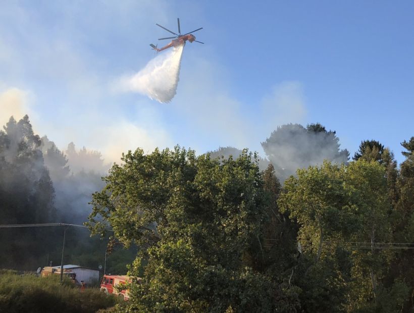 34 incendios forestales se encuentran activos en la zona centro sur del país