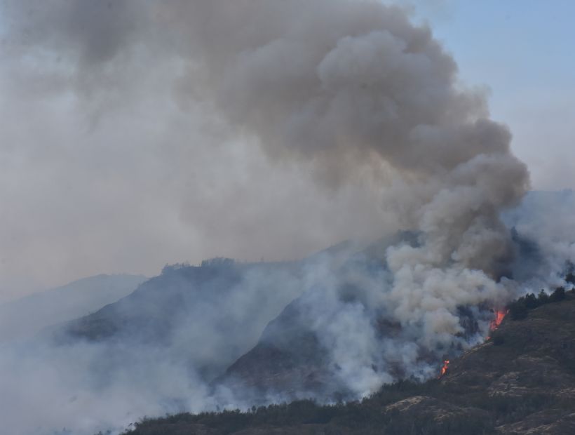 Onemi: 15 incendios forestales activos y hay Alertas Rojas en Valparaíso y Aysén