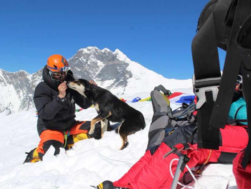 Perrito callejero sigue a un grupo de escaladores y termina escalando el Himalaya