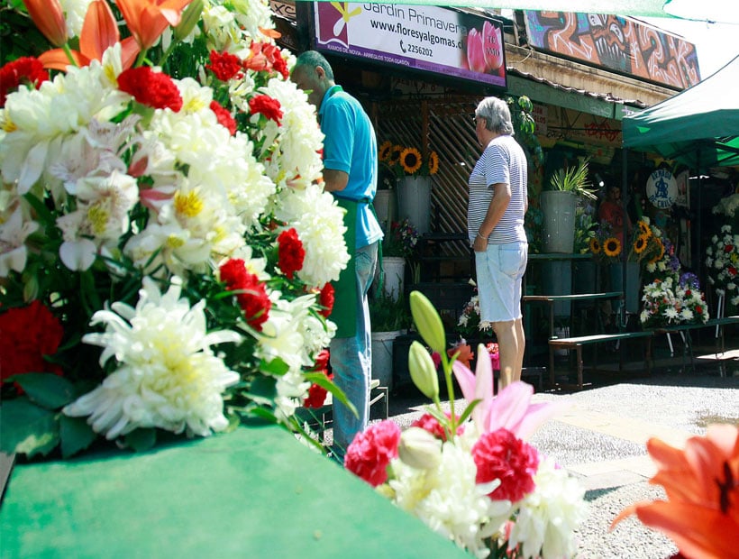 Presentan querella por rayados a la Pérgola de las Flores de Valparaíso